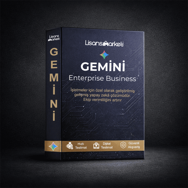 Gemini Enterprise Business